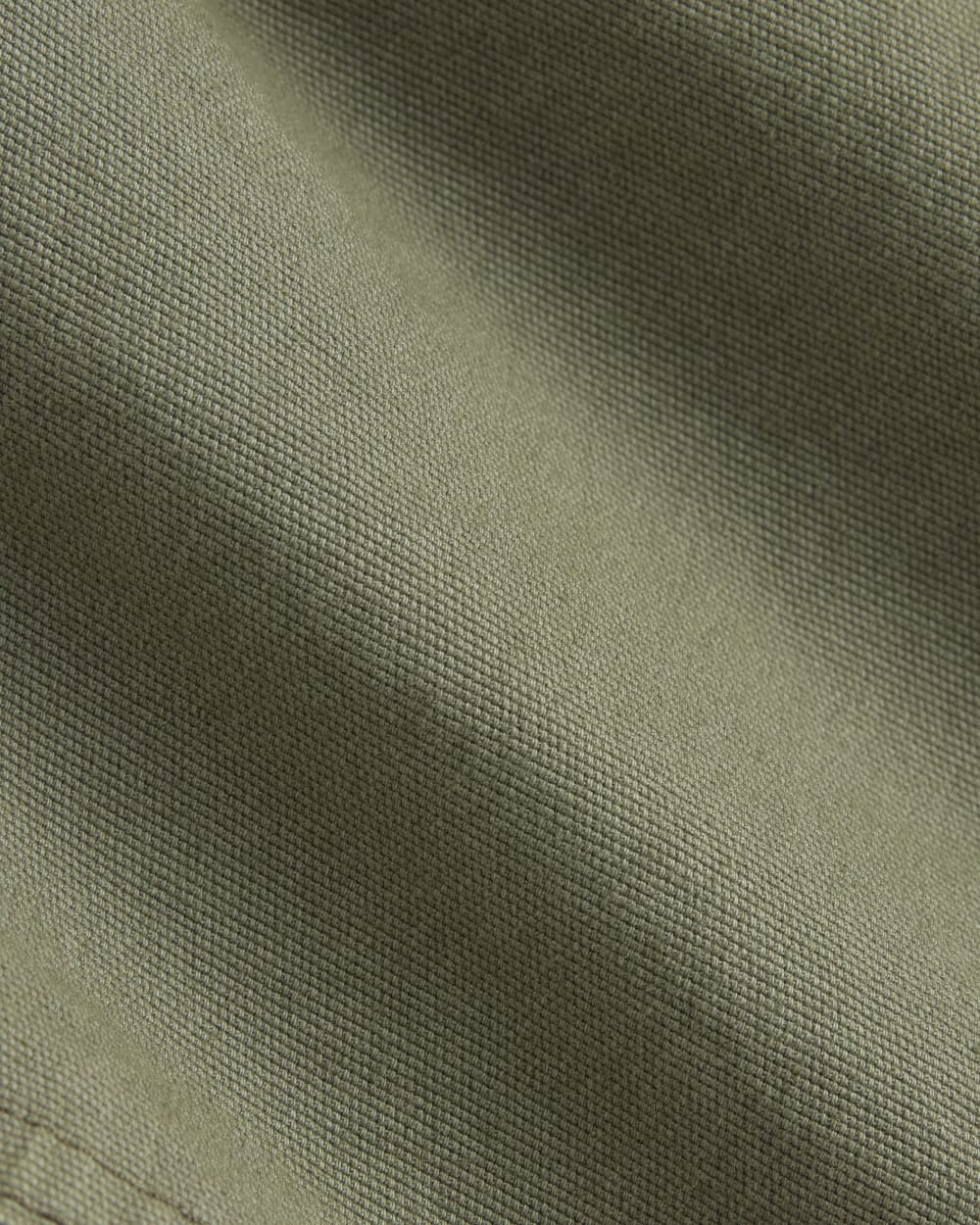 The Canvas Relaxed Short | Lichen Green