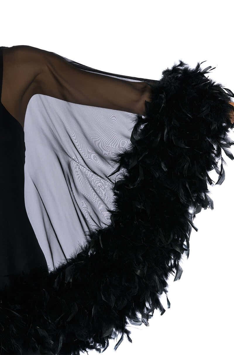 THAT VA VA VOOM LONG SLEEVE SHEER TRAPEZE DRESS